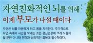 뉴스레터