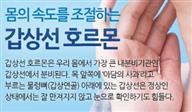 뉴스레터