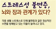 뉴스레터